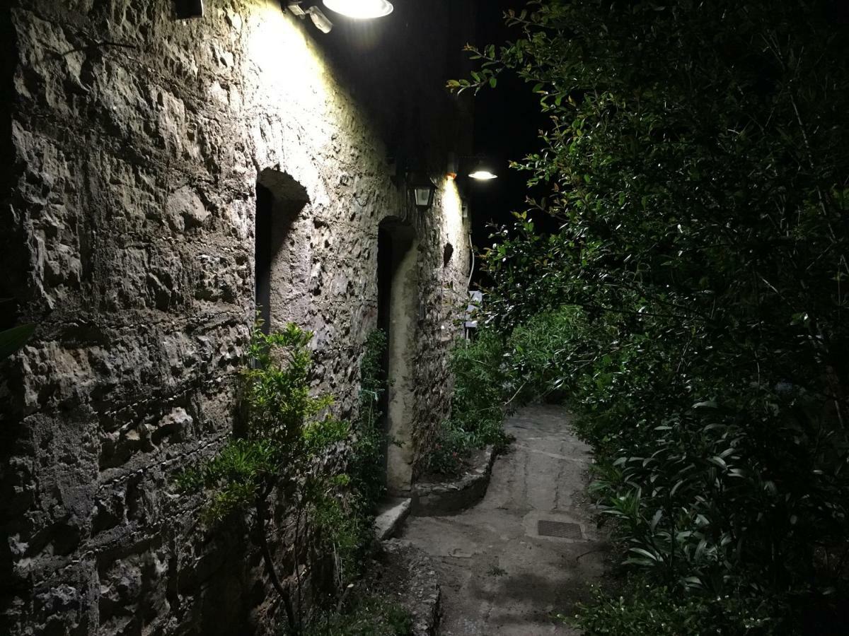 Aparthotel Casa Sarlo Petina Exteriér fotografie